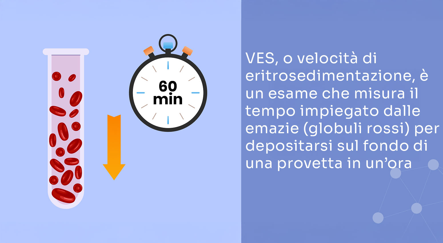 ves alta quando preoccuparsi